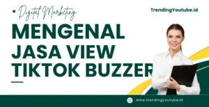 jasa view tiktok